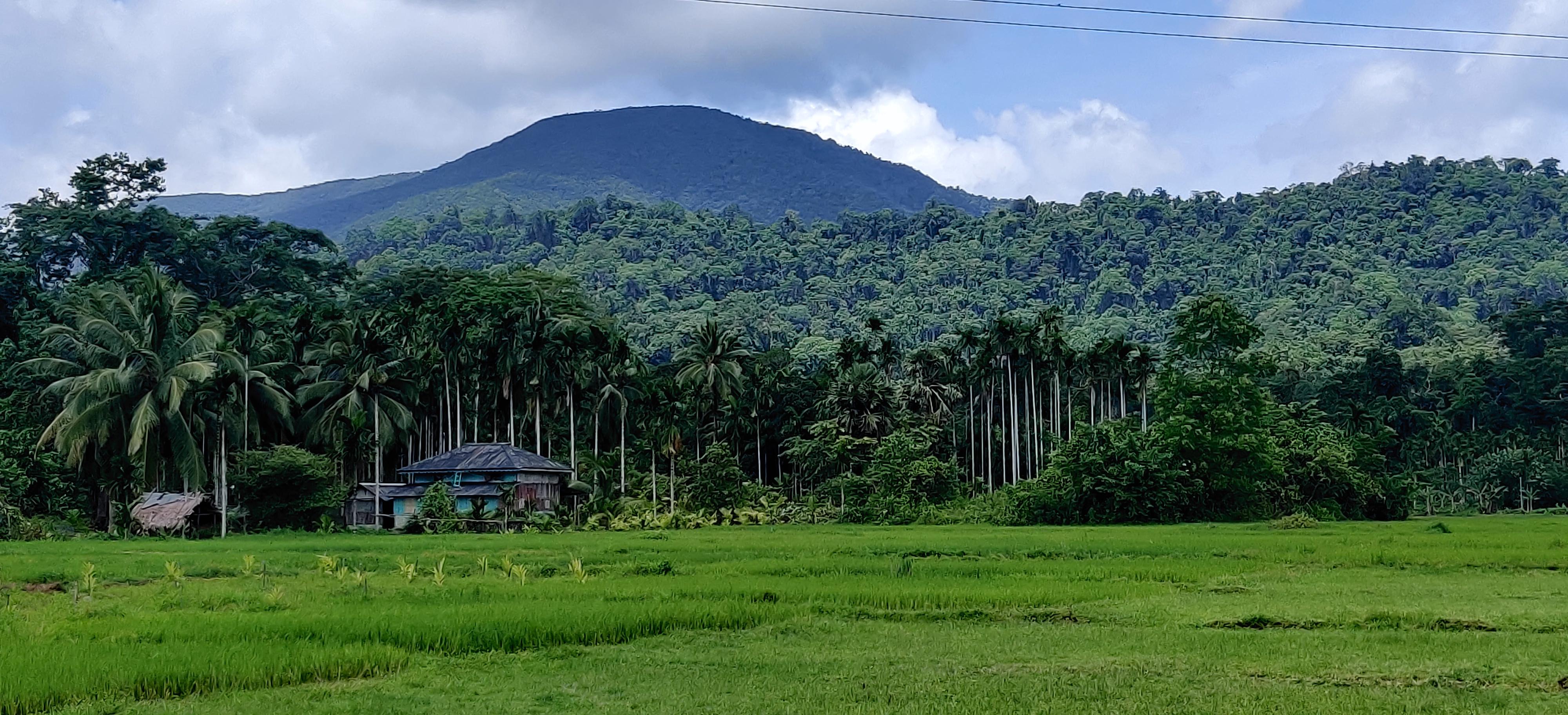 Diglipur